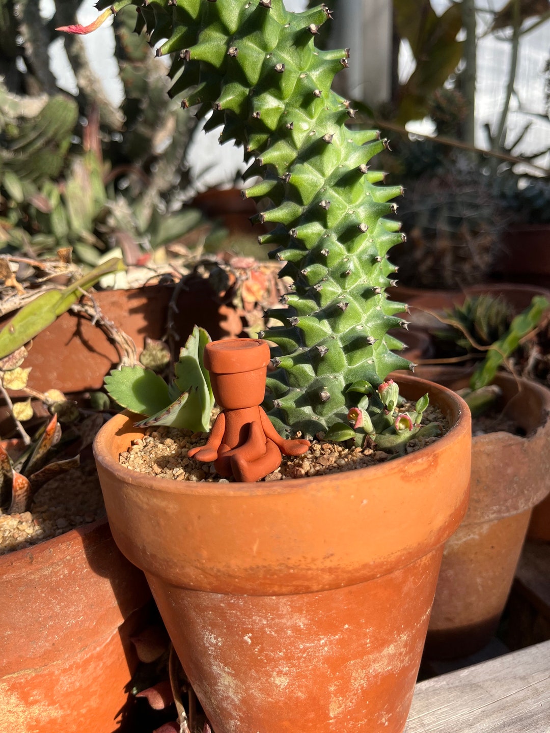 Pothead Zen Plant Friend, Plant Accessory, Indoor Plants, House Plant