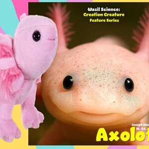 BUNDLES Creation Creature Feature Book & Buddy