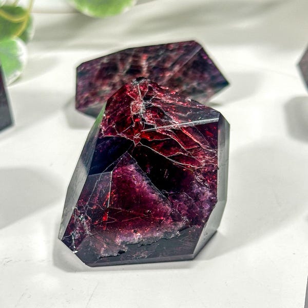 Gemmy Faceted Garnet Freeform