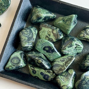 Tumbled Kambaba Jasper, Stone of Courage & Endurance ,Kambaba Jasper Pocket Crystal, Kambaba Jasper, Green Stromatolite, Crocodile Jasper