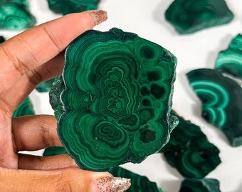 May include: A collection of green malachite stone slices with a swirling pattern. The slices are various sizes and shapes.
