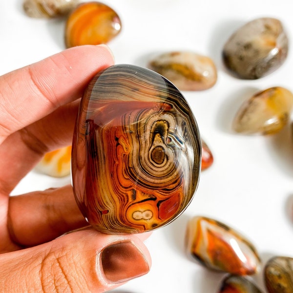 Pierre de palmier en sardonyx, NOUVEAU LOT, connexion + relation, cristal de sardonyx, sardonyx, pierre de sardonyx, agate de sardonyx, cornaline et onyx