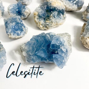 May include: A collection of blue celestite crystals, some with a rough exterior and others with a smooth surface. The crystals are arranged on a white background. The word "Celestite" is written in black with a blue outline below the crystals.