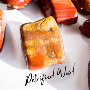 Petrified Wood Tumbles, Ancient Knowledge + Grounding, Petrified Wood Tumbles, Tumbled Petrified Wood, Petrified Wood, Fossilized Wood