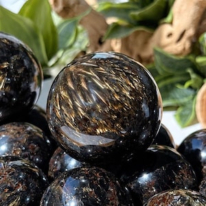 May include: A collection of polished, spherical stones featuring a deep black base colour with prominent, shimmering golden-brown fibrous inclusions that create a radial, star-like pattern across the smooth, reflective surfaces of each orb.