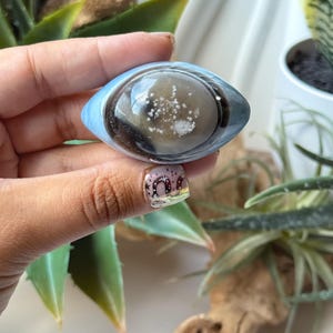 May include: An eye-shaped polished stone cabochon featuring a light blue outer rim, a dark brown middle ring, and a translucent grey centre with white speckled inclusions. The smooth, rounded object has a distinct almond shape.