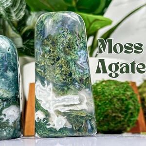 Polished Moss Agate Freeform: Root Chakra Stone