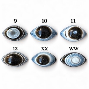 May include: Six oval-shaped cabochons arranged in two rows, each featuring a central dark or light core surrounded by concentric blue and white rings. The items are labelled with the numbers 9, 10, 11, 12, XX, and WW in black text.