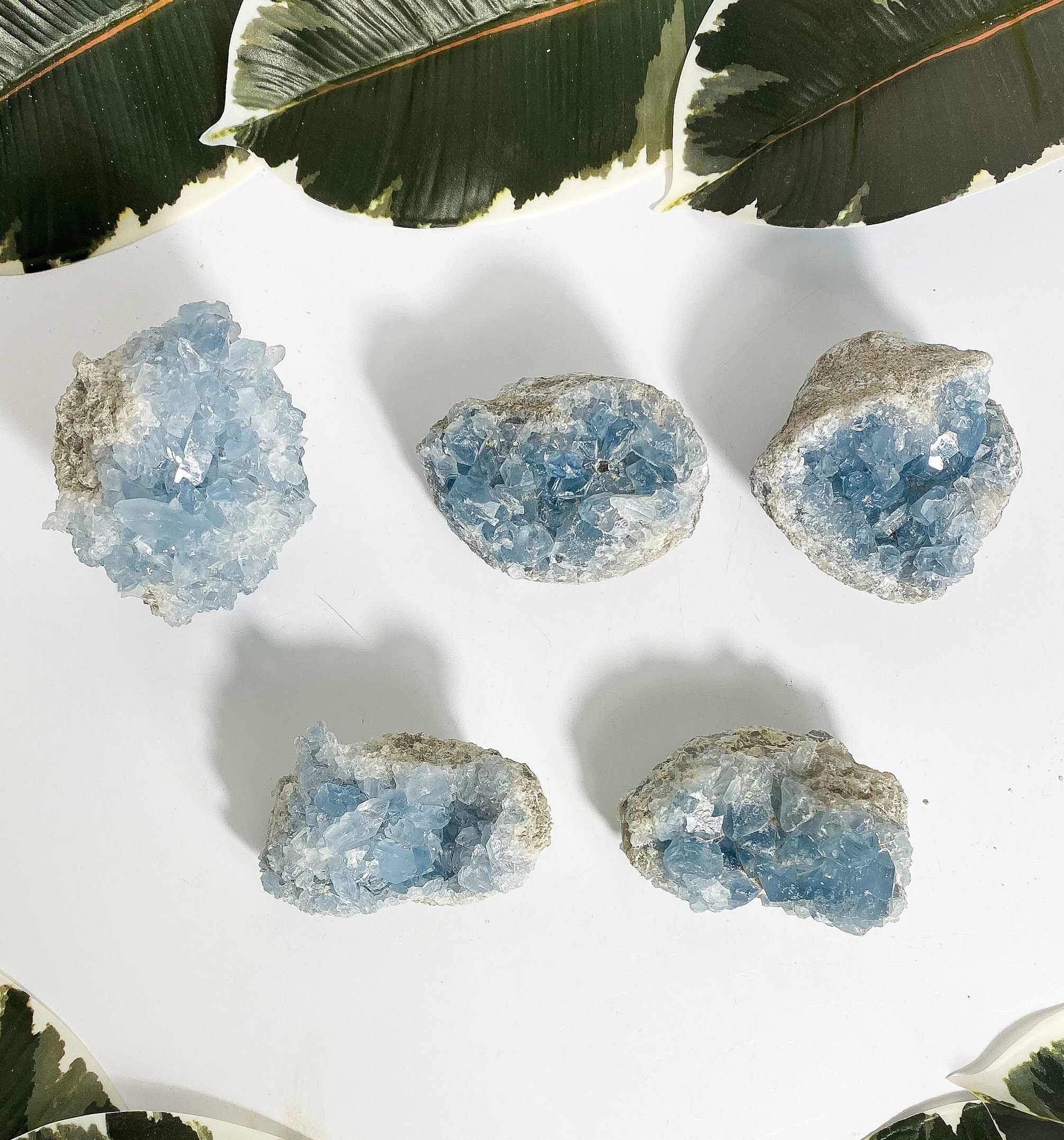 超綺麗藍水晶クラスターB84U6/103U07B Amazon.com: SUNYIK Blue Titanium Coated Crystal Cluster