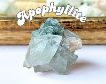 May include: A cluster of translucent, pale blue-green apophyllite crystals. The crystals have a geometric, faceted appearance, with a few areas of beige. The word "Apophyllite" is written in a stylized font across the top of the image.