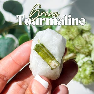 Green Tourmaline in Quartz Specimen, Raw Green Tourmaline, Green Tourmaline , Green Tourmaline in Matrix, Green Tourmaline Crysta