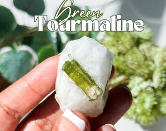Puede incluir: Un pequeño cristal de turmalina verde incrustado en una roca blanca opaca. El cristal es largo y delgado, con una punta puntiaguda. La roca es lisa y redondeada.