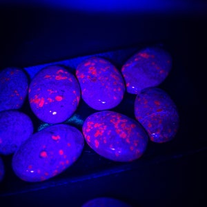 May include: A collection of smooth, oval-shaped stones illuminated under ultraviolet light. The stones appear dark purple and black with vibrant, glowing neon-red or bright orange speckled patterns across their polished surfaces.