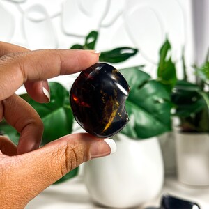 Puede incluir: Una piedra de obsidiana pulida de color marr&oacute;n oscuro y negro con un borde astillado. La piedra est&aacute; siendo sostenida por una mano.