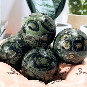 Kambaba Jasper Sphere, Courage + Strength, Green Stromatolite Spheres, Heart & Base Chakra, Crocodile Jasper Sphere, Kambaba Jasper,