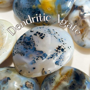 Dendritic Agate Palm Stone, Plenitude + Resilience, Dendritic Agate, Crystal Palm Stones, Dendritic Agate Crystal, Palm Stone