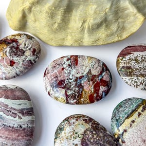 May include: A collection of polished, oval-shaped stones featuring intricate patterns of red, white, green, and brown mineral inclusions. The stones are arranged around a large, textured, pale yellow seashell fragment with a smooth, glossy finish.