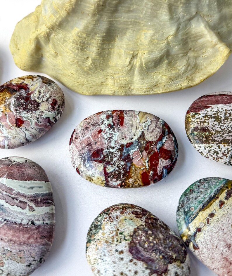 May include: A collection of polished, oval-shaped stones featuring intricate patterns of red, white, green, and brown mineral inclusions. The stones are arranged around a large, textured, pale yellow seashell fragment with a smooth, glossy finish.