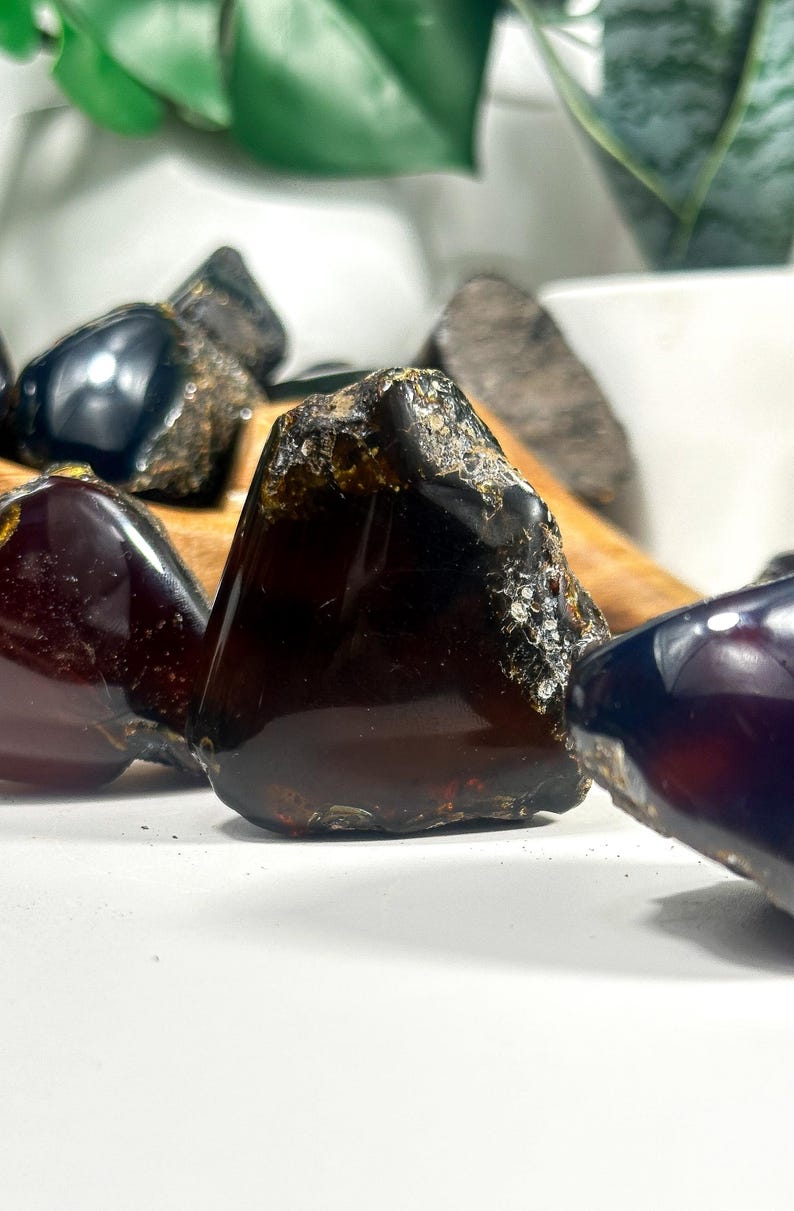 Puede incluir: Una colecci&oacute;n de piedras de &aacute;mbar oscuro de diferentes formas y tama&ntilde;os. Las piedras tienen un acabado brillante y algunas tienen un ligero brillo.