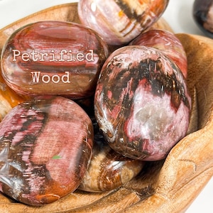 May include: A collection of polished petrified wood stones in various shades of brown, red, and white. The stones are arranged in a wooden bowl. The text "Petrified Wood" is written on one of the stones.