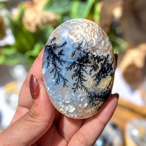 May include: An oval-shaped dendritic agate stone featuring a translucent, milky white base with intricate, dark black fern-like inclusions spreading across the surface. The stone displays a smooth, polished finish with subtle golden-brown accents.