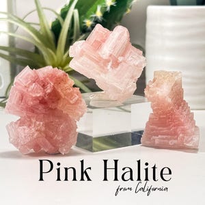 Pink Halite Specimen from California,  Pink Halite Cluster, Raw Pink Halite, Heart Chakra, Halite Salt Rock, California Halite