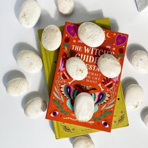May include: A stack of books with a yellow cover and a red cover. The red book has a colorful illustration of a butterfly and the text "The Witch's Guide to Manifestation".  There are white stones scattered around the books.