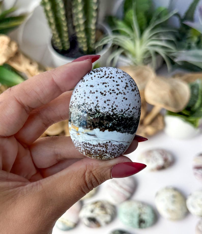 May include: An oval-shaped polished stone featuring a white base with dense brown speckles, a prominent horizontal dark brown to black band across the centre, and a thin white line separating the speckled areas from the dark central mineral layer.