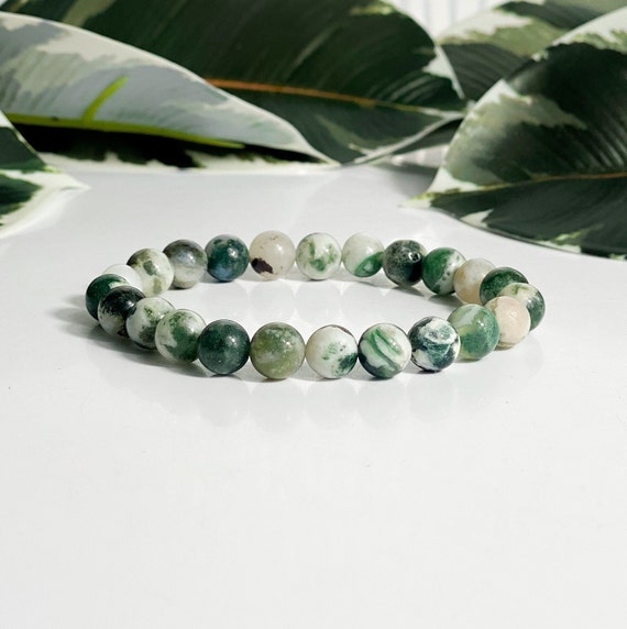 Tree Agate Bracelet - Pure Gems World