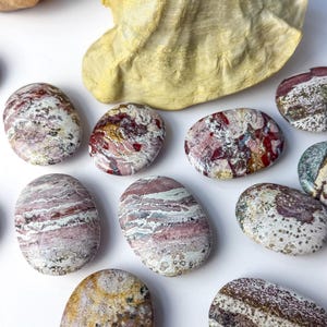 May include: A collection of smooth, polished oval stones featuring intricate patterns in shades of maroon, cream, grey, and green, arranged near a large, textured, pale yellow conch shell. Each stone displays unique mineral banding and speckling.