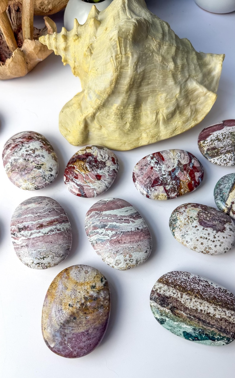 May include: A collection of smooth, polished oval stones featuring intricate patterns in shades of maroon, cream, grey, and green, arranged near a large, textured, pale yellow conch shell. Each stone displays unique mineral banding and speckling.