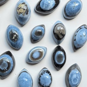 May include: A collection of polished, eye-shaped cabochons featuring a smooth, glossy finish. Each piece displays a central blue core surrounded by dark, charcoal-coloured borders, with some stones showing intricate, light-coloured inclusions.