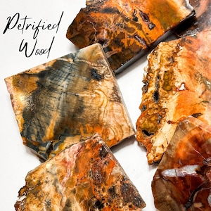 Petrified Wood Slabs, **NEW LOT**Stone of Ancient Knowledge, Petrified Wood Slices, Petrified Wood, Fossilized Wood