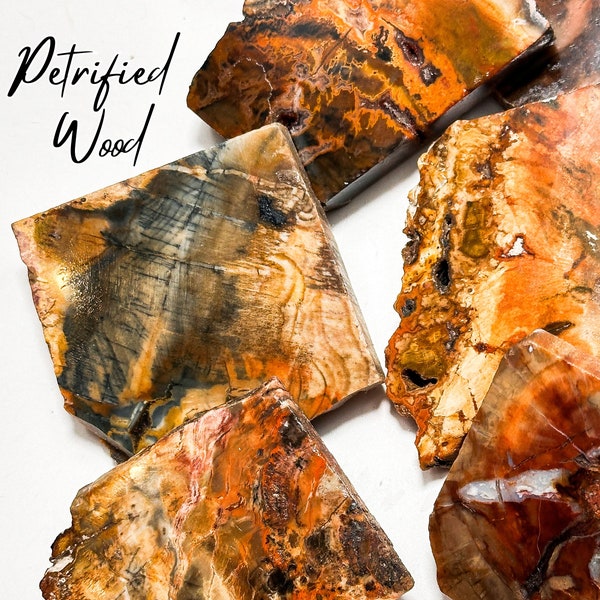 Petrified Wood Slabs, **NEW LOT**Stone of Ancient Knowledge, Petrified Wood Slices, Petrified Wood, Fossilized Wood