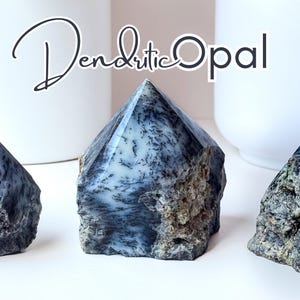 Opale dendritique : cristal de guérison poli pour l&#39;intuition et la clarté