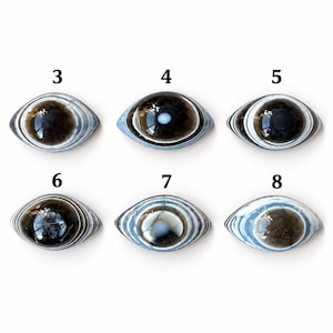 May include: Six oval-shaped cabochons arranged in two rows, labelled 3 through 8. Each piece features concentric rings of blue, white, and dark brown, resembling an eye. The surfaces are smooth and polished, displaying varied patterns.
