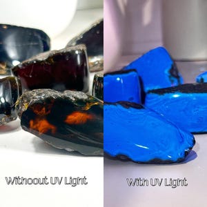 Puede incluir: Primer plano de varias piedras de &aacute;mbar oscuro, algunas con un tono rojizo, bajo luz normal. Las mismas piedras se muestran bajo luz UV, brillando de un azul brillante.