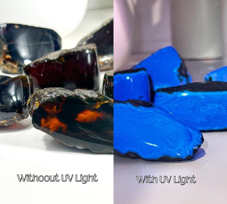 Puede incluir: Primer plano de varias piedras de &aacute;mbar oscuro, algunas con un tono rojizo, bajo luz normal. Las mismas piedras se muestran bajo luz UV, brillando de un azul brillante.