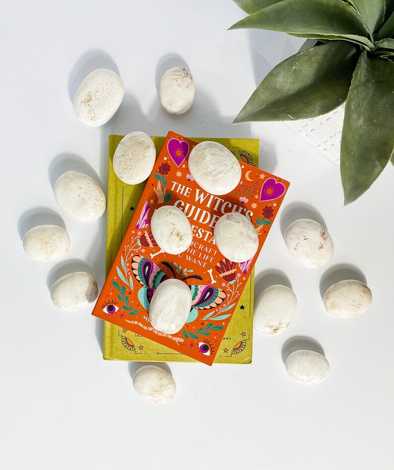 May include: A book titled "The Witch's Guide to Esta" with a colorful cover featuring butterflies, flowers, and stars. The book is surrounded by white stones on a white surface.