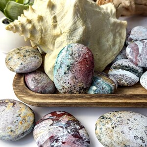 May include: A collection of polished, multi-coloured ocean jasper stones with intricate patterns of red, green, cream, and grey, arranged around a large, textured cream-coloured conch shell on a rectangular wooden tray.
