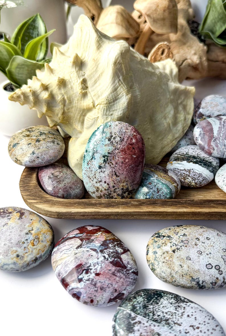 May include: A collection of polished, multi-coloured ocean jasper stones with intricate patterns of red, green, cream, and grey, arranged around a large, textured cream-coloured conch shell on a rectangular wooden tray.