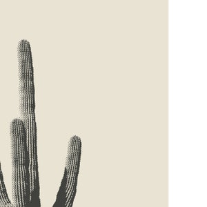 May include: A close-up of two tall, slender cacti with a stippled texture against a light beige background.