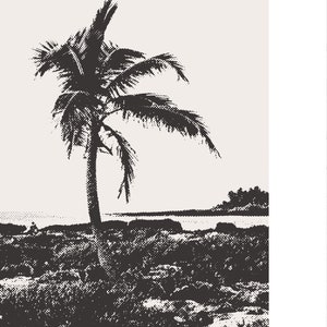 May include: A black and white silhouette of a palm tree on a beach with a rocky shore.