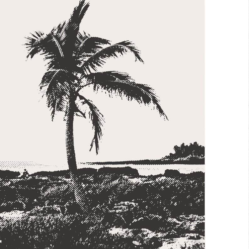 May include: A black and white silhouette of a palm tree on a beach with a rocky shore.