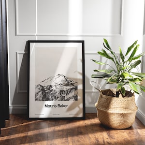 Op de afbeelding: Zwart-witfoto van Mount Baker in de staat Washington, ingelijst in een zwart frame en hangend aan een witte muur. Een groene plant in een geweven mand staat voor het frame.