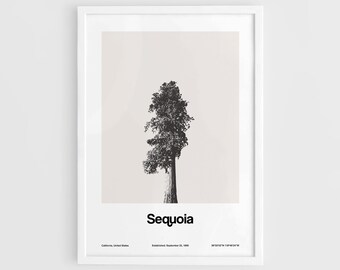Impresión del Parque Nacional Sequoia, sequoia gigante en el bosque gigante del Parque Nacional Sequoia, póster de pared, impresión minimalista personalizada del parque de Artica