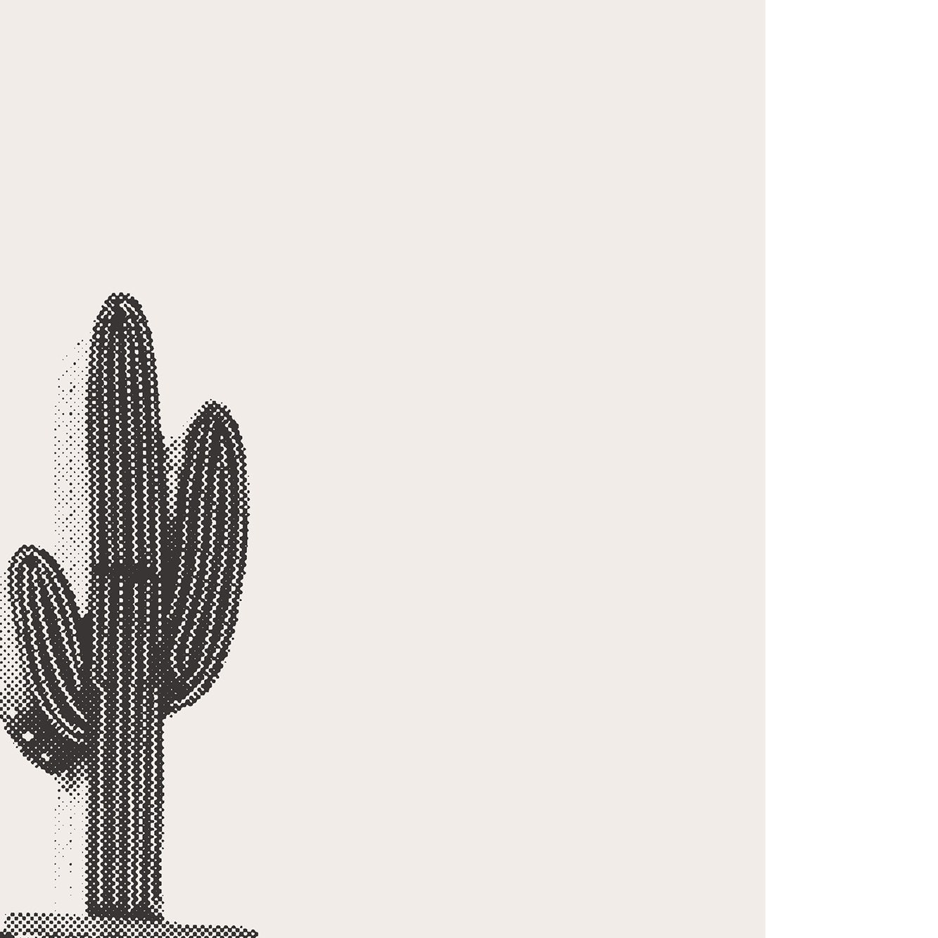 ツーソンプリント、ツーソンアリゾナ州 30フィートの高さのネオン