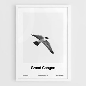 Grand Canyon National Park Poster, Peregrine falcon Grand Canyon National Park Animals Hawk Wall Art Minimalist Custom Park Print by Artica