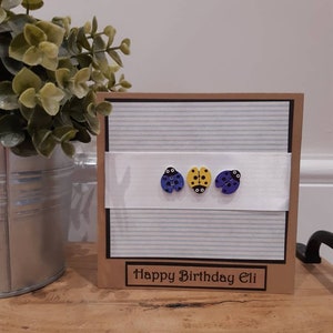 Biglietto di compleanno personalizzato per ragazzi. Carta coccinella