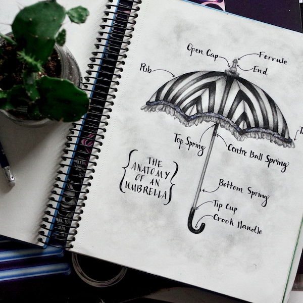 Umbrella Anatomy for Rain Lovers PRINT of Original Artwork